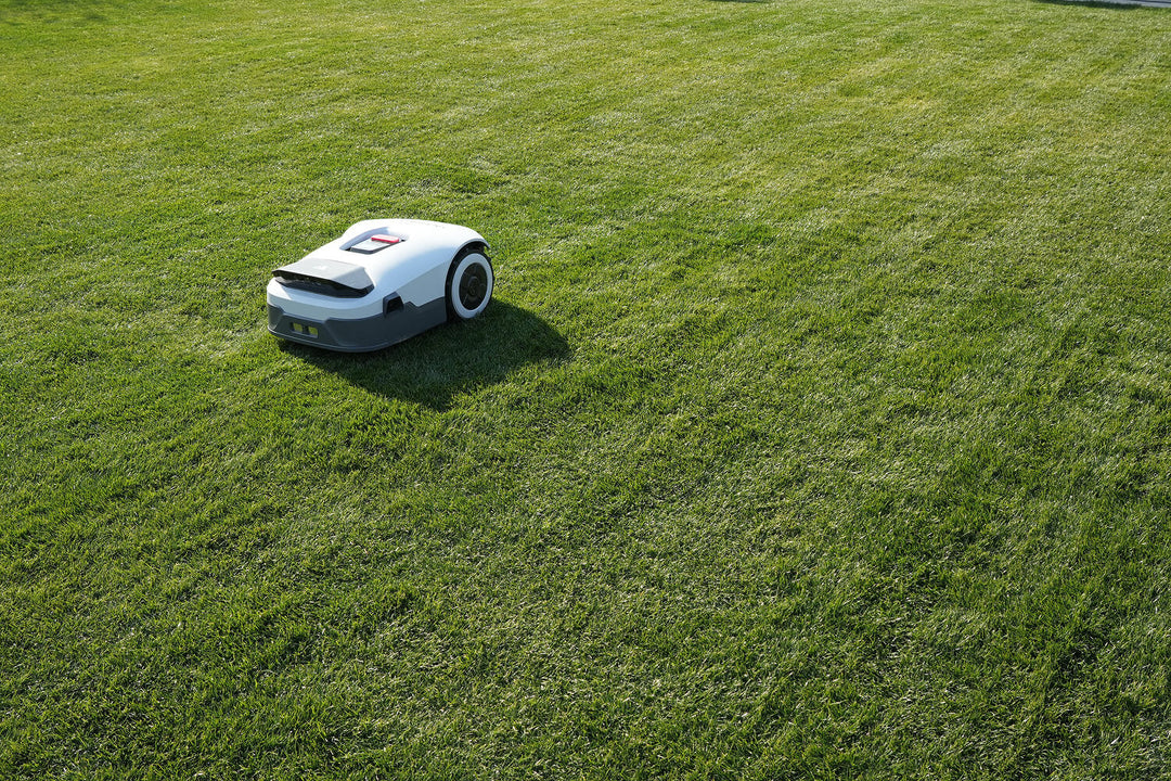 Robotgräsklippare