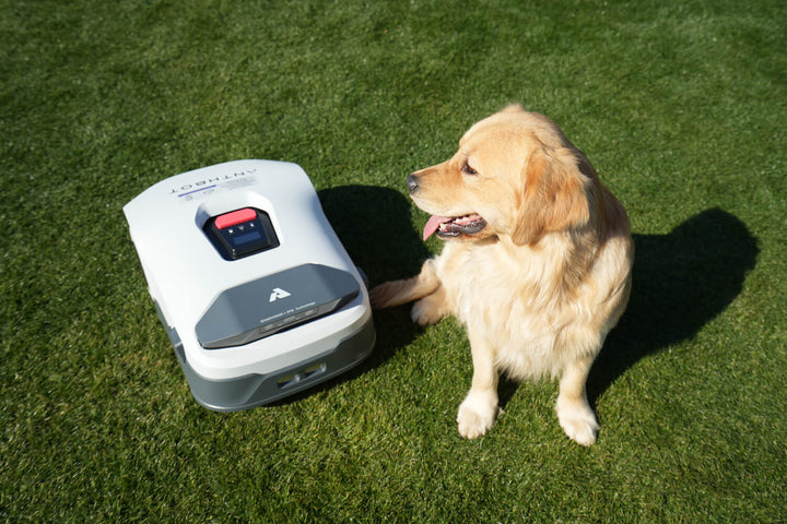 Anthbot Genie 600